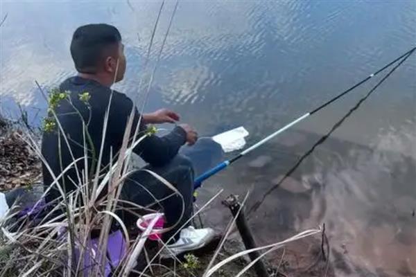 玉米钓鳊鱼的效果，效果都是不错的