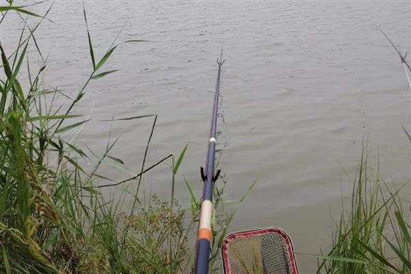 玉米钓鳊鱼的效果，效果都是不错的