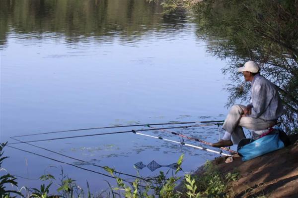 玉米钓鳊鱼的效果，效果都是不错的