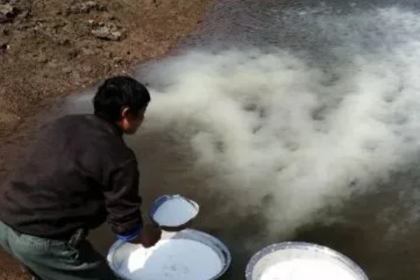 泥鳅对水质有什么要求，要保证水源未受到污染