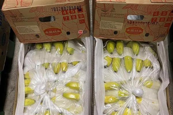 夏天的应季水果推荐，有草莓、桃子等