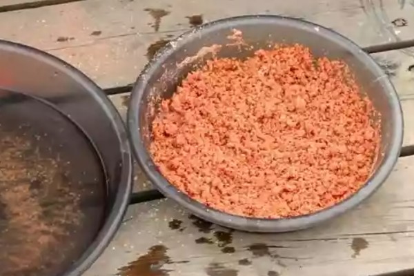 钓鲶鱼用什么饵料，最经常选择的一种就是蚯蚓