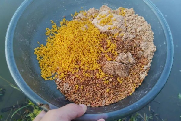 钓鲶鱼用什么饵料，最经常选择的一种就是蚯蚓