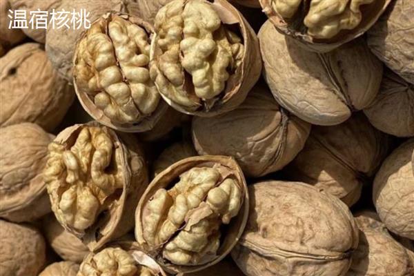 中国的核桃之乡，是指永德、凤庆等