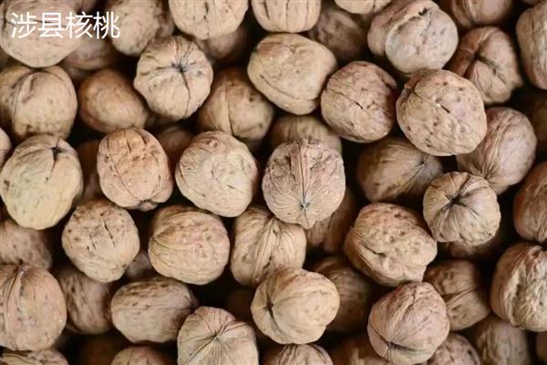 中国的核桃之乡，是指永德、凤庆等