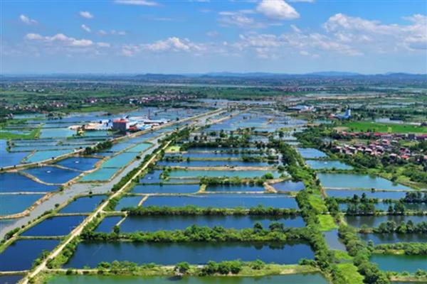 中国鱼米之乡在哪里，有湖北江汉平原、四川成都平原等