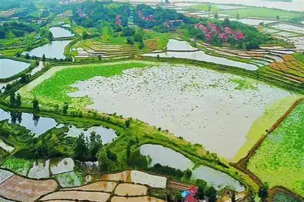 中国鱼米之乡在哪里，有湖北江汉平原、四川成都平原等