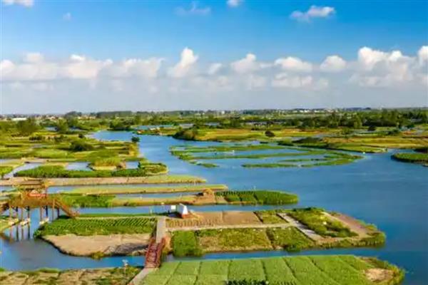中国鱼米之乡在哪里，有湖北江汉平原、四川成都平原等