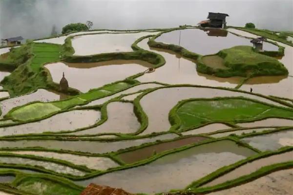 中国鱼米之乡在哪里，有湖北江汉平原、四川成都平原等