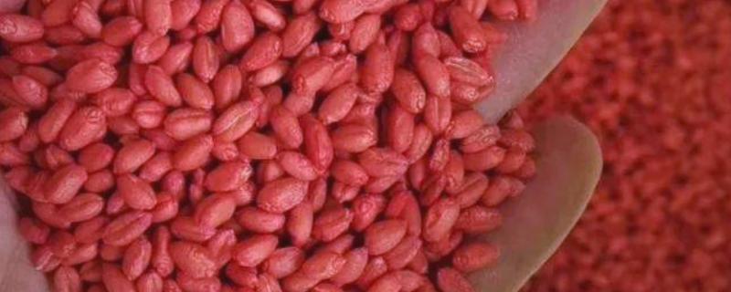 用哪种药物对小麦拌种,根据防治对象决定药物种类