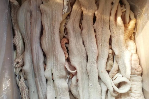 散带是牛的什么部位,是牛肠子和牛肚相连接的那个地方