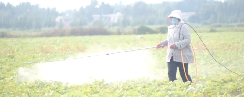 大豆除草剂什么时候打，播种前3-5天可用乙草胺