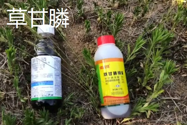 大豆除草剂什么时候打，播种前3-5天可用乙草胺