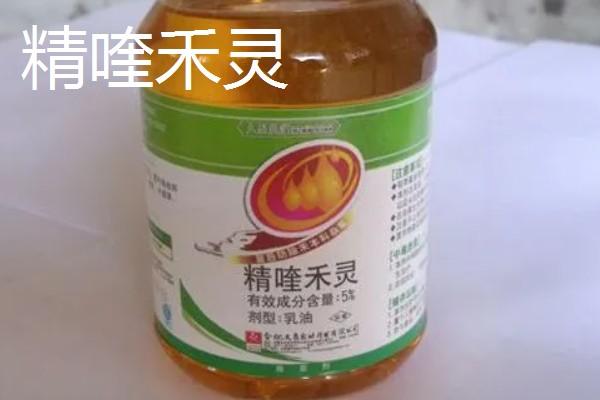 大豆除草剂什么时候打，播种前3-5天可用乙草胺