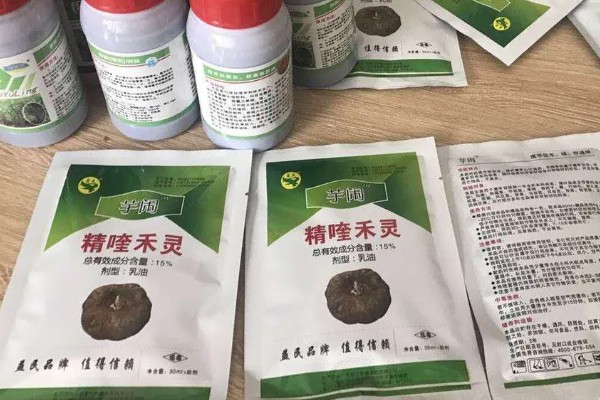 大豆除草剂什么时候打，播种前3-5天可用乙草胺