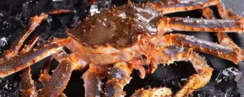 帝王蟹能不能人工养殖,目前无法模拟其生活环境