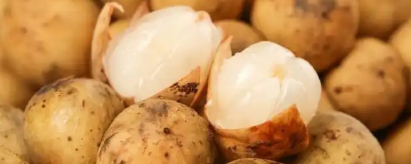 龙宫果可以放几天，冷藏室中可以保存4-5天