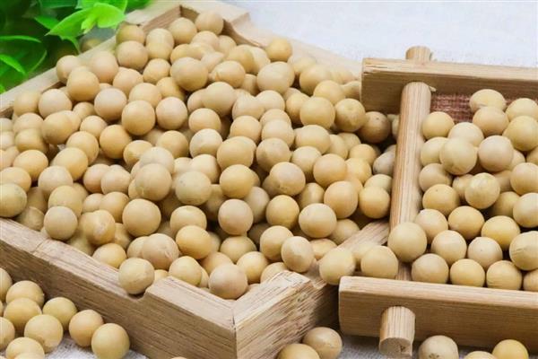 玉米水涝后的补救方法,采取以下4个措施有助于恢复生长