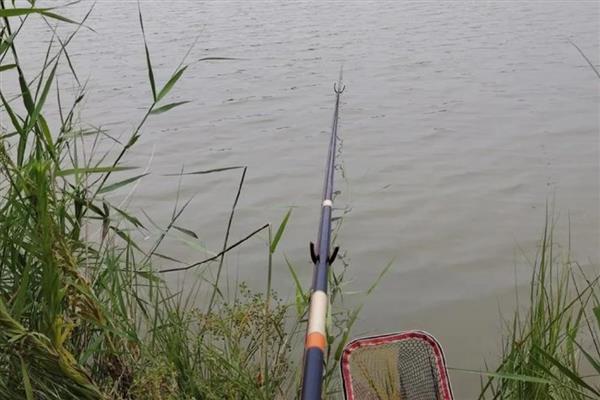 为什么传统钓的人不多了，因为诱鱼能力不强