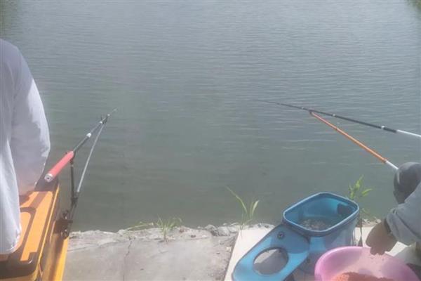 为什么传统钓的人不多了，因为诱鱼能力不强