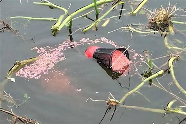 为什么传统钓的人不多了，因为诱鱼能力不强