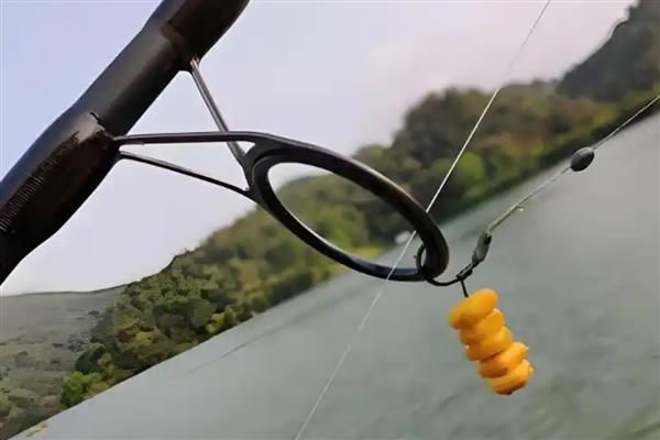 为什么传统钓的人不多了，因为诱鱼能力不强