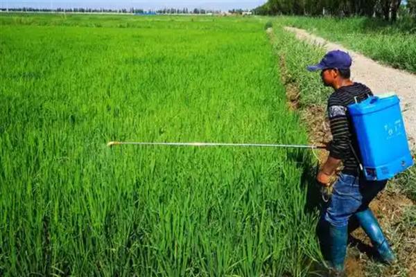 喷药穿化纤衣服易中毒吗，容易引起农药中毒