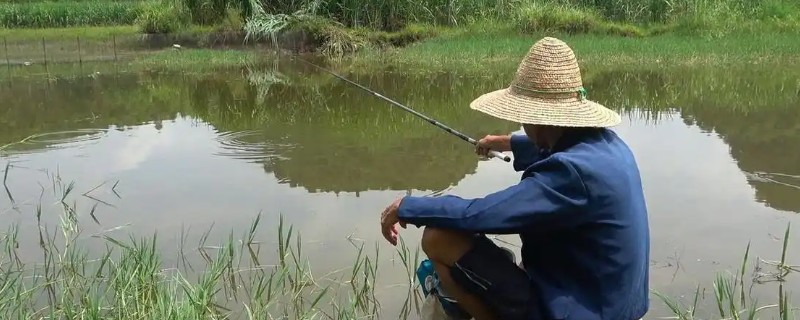 为什么传统钓的人不多了，因为诱鱼能力不强