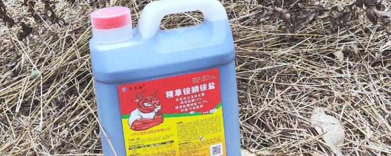 草铵膦喷洒后多久土田能种植物,通常7天左右就可以