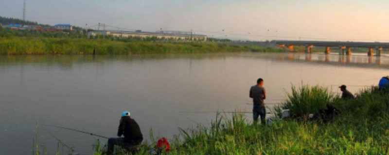 春天钓草鱼应该钓深还是钓浅，初春钓深更容易成功