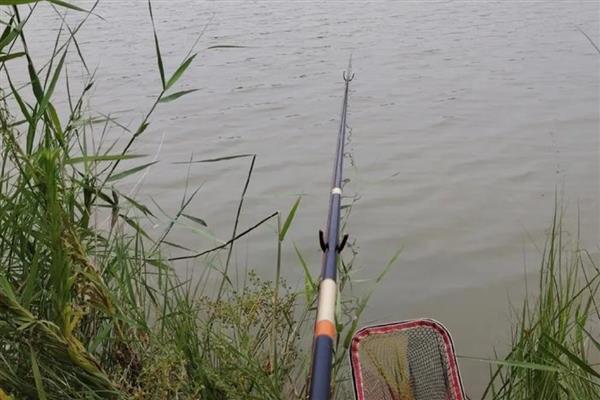 鱼竿6H和8H的区别，代表硬度不一样