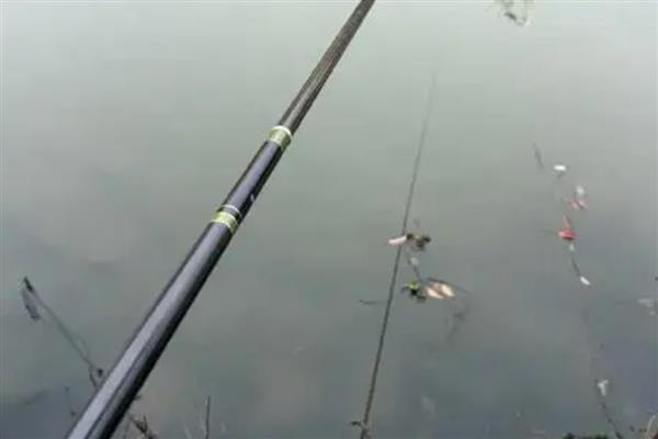 鱼竿6H和8H的区别，代表硬度不一样