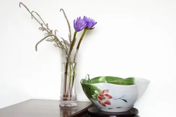 睡莲的开花时间，在5-8月陆续开花