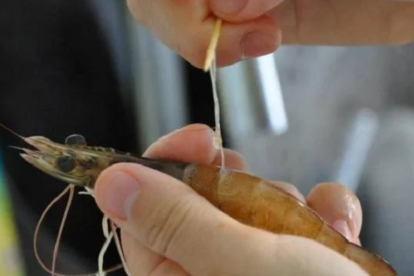 沼虾要不要去虾线，食用前通常要去虾线