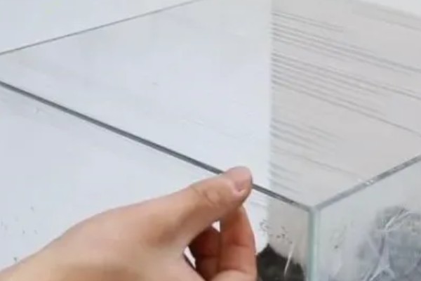 水草种子拉丝的原因，可能是种植不合理所致