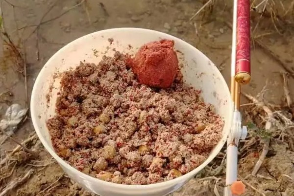 春天钓草鱼应该钓深还是钓浅，初春钓深更容易成功