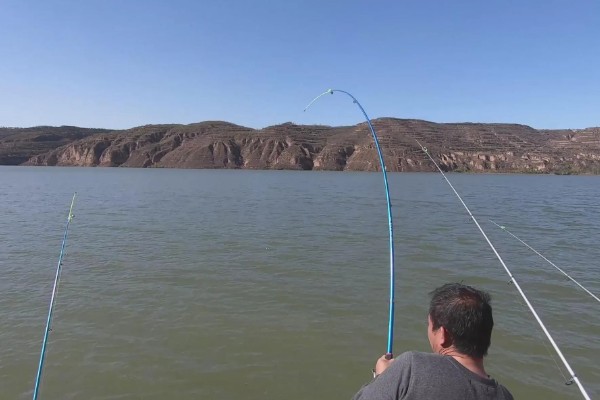 春天钓草鱼应该钓深还是钓浅，初春钓深更容易成功