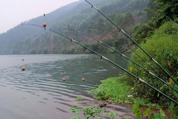 春天钓草鱼应该钓深还是钓浅，初春钓深更容易成功