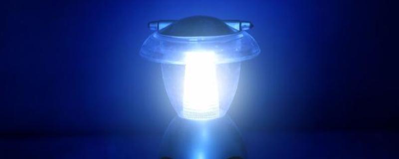 诱杀农业害虫的方法,可采取灯光诱杀、毒饵诱杀等方式