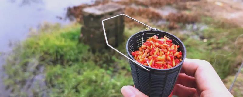 野钓打窝用哪种饵料，酒米、五谷杂粮等种类均可使用