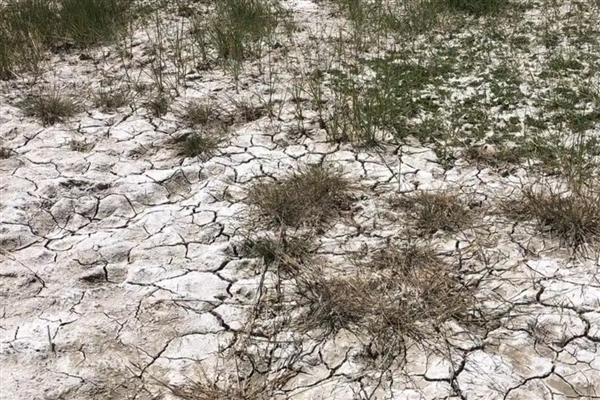 什么是土壤次生盐渍化，又称次生盐碱化