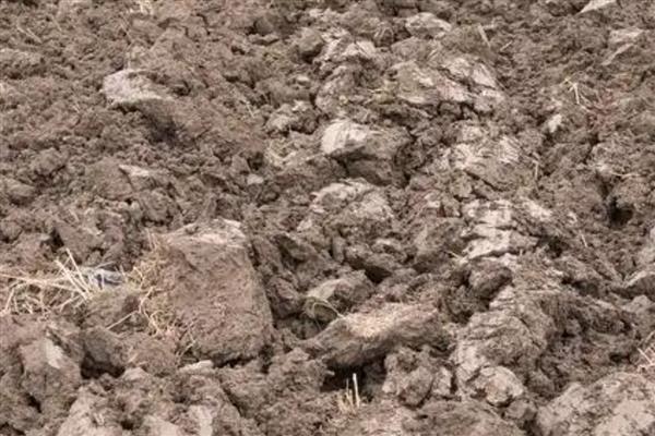 什么是土壤次生盐渍化，又称次生盐碱化