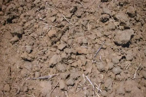 什么是土壤次生盐渍化，又称次生盐碱化