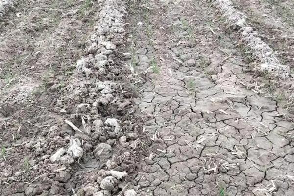 什么是土壤次生盐渍化，又称次生盐碱化