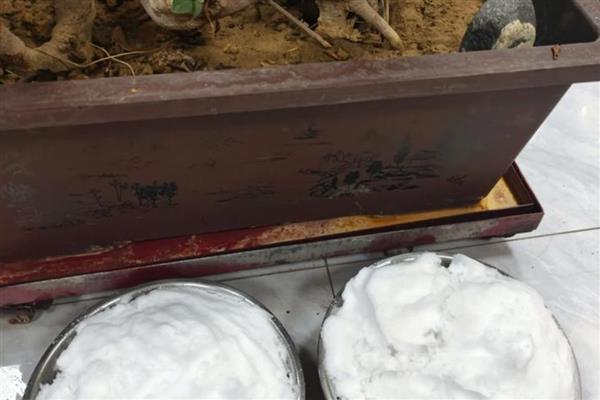 雪水可以浇花吗，雪水能浇花