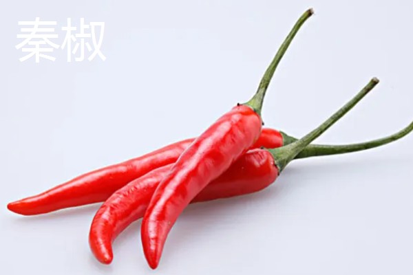 秦椒的外观特征，果顶渐尖且微弯、果面有凸起的油点