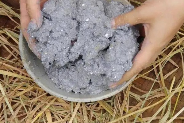 菇床鬼伞如何防治,首先要搞好菇房的环境卫生