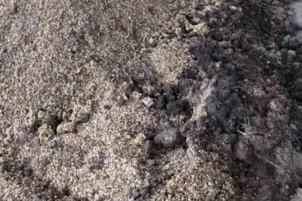 菇床鬼伞如何防治,首先要搞好菇房的环境卫生