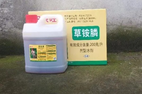 草铵膦喷洒后多久土田能种植物,通常7天左右就可以