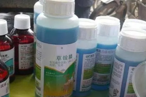 草铵膦喷洒后多久土田能种植物,通常7天左右就可以